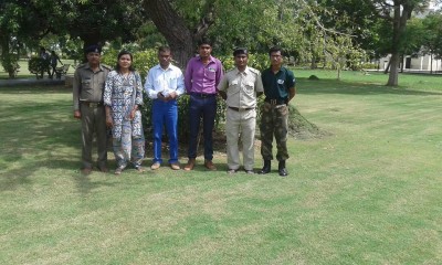 pdpu1