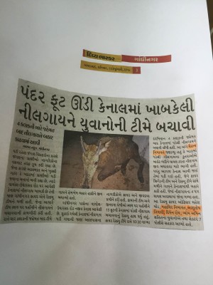 press note of nilgai1