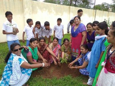 tree plantation at govt school1
