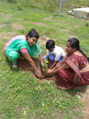 tree plantation at govt school12