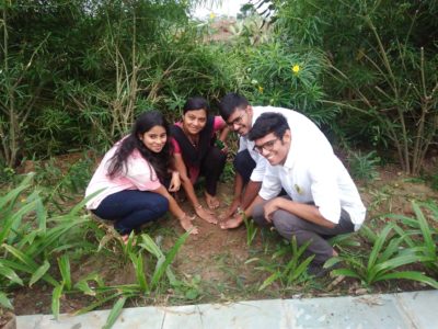 plan a tree plan a life8