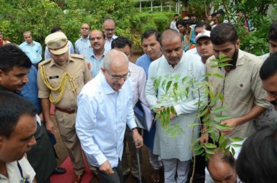 tree plantations at raj bhavan gujarat1