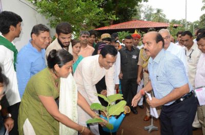 tree plantations at raj bhavan gujarat3