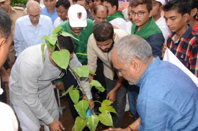 tree plantations at raj bhavan gujarat7