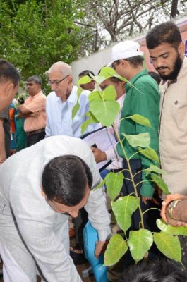 tree plantations at raj bhavan gujarat8