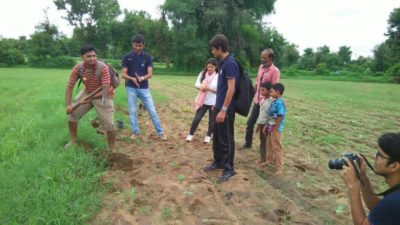 trees plantations in the rampura village4