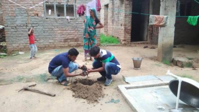trees plantations in the rampura village6