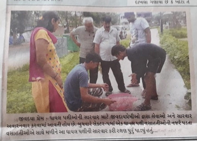 Bird Rescue Gandhinagar